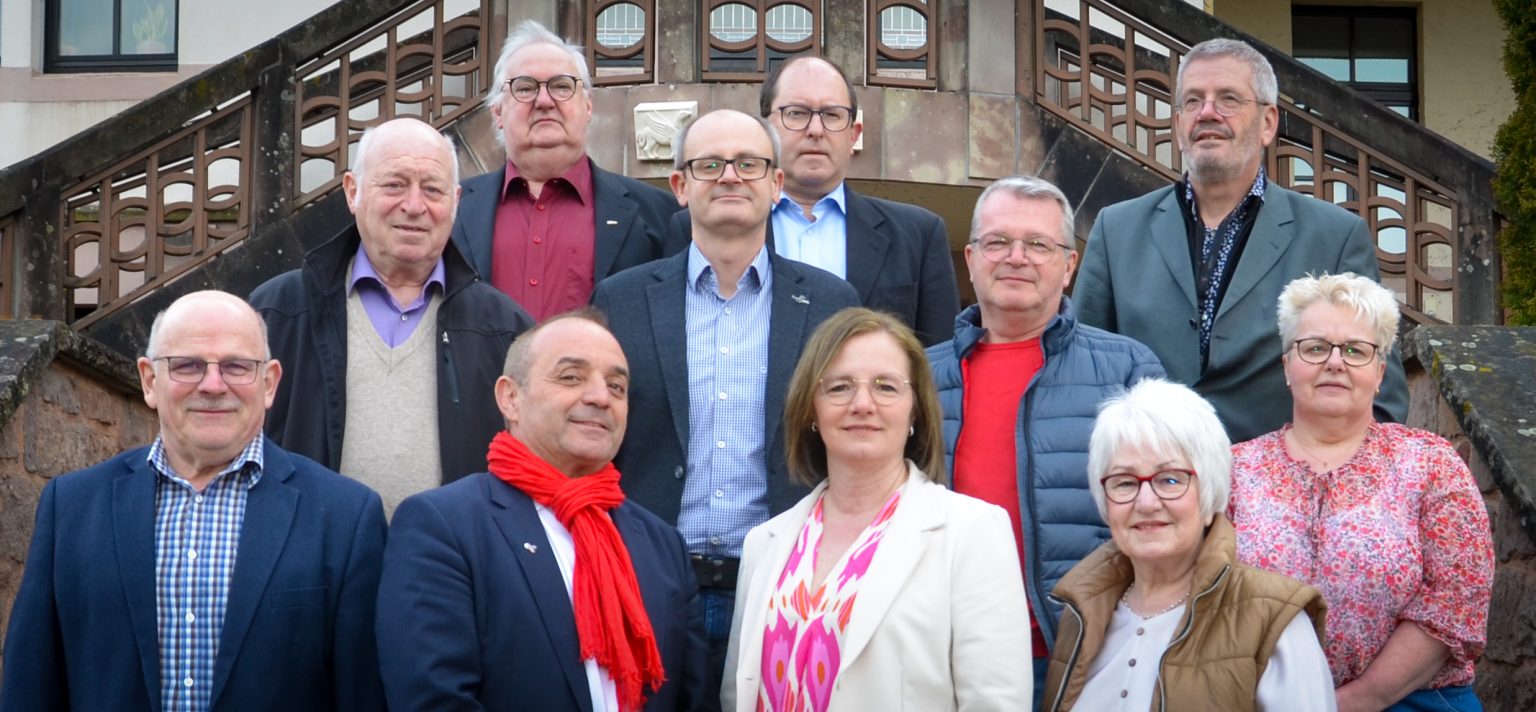 Gruppenfoto SPD-Fraktion Gemeinderat Illingen